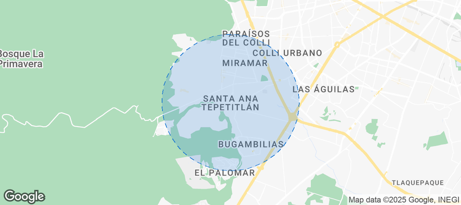 Discover Santa Ana Tepetitlán Airbnb Analytics